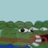 NΔNΔ, The Frog 🐸's profile picture