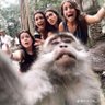 Felipe's profile picture