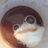 FrogStars profil fotoğrafı