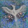 Profilbild von Kalisto Phoenix