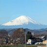 おいら's profile picture