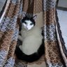 katia profil fotoğrafı