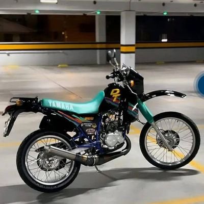 elyampi281's profile picture