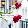 مرمر عسيري 的头像