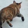 SLICE profil fotoğrafı