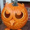 HootyOwl's profile picture