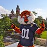 Mildly Confused Auburn Fanโ๏ธ๐ฆ๐ค๐
ฟ๏ธ๐ฆ's profile picture