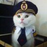Profilbild von Captain Meowsers