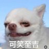 冰 的头像
