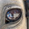 Paddo 🇦🇺 🏇🏏🎣⛳️🐕🐈🐐🐓🦆🐂 profil fotoğrafı