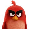 Angry Bird 的头像