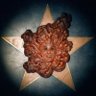 $IMPDEMELANIACOIN's profile picture
