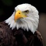 Garrett profil fotoğrafı