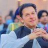 Profilbild von syeda Naqvi