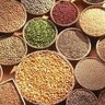 Фото профиля swathi millets