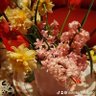 Nature Beauty 的头像