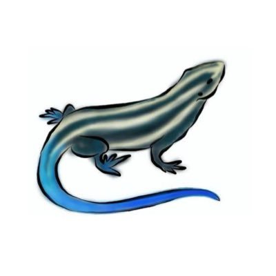 inflatetokage's profile picture