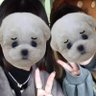 Profilbild von ゆいな