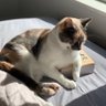 Profilbild von ClawsOfChaos