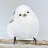 sugiyama 的头像