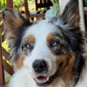 J DGwood profil fotoğrafı