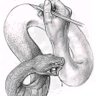 Фото профиля baroputin