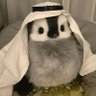 ysd's profile picture