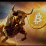 Crypto Daddy profil fotoğrafı