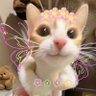 Profilbild von 阿布阿卜
