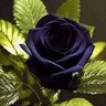Фото профиля أ
