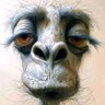 Profilbild von Andrew