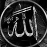 ماجد profil fotoğrafı