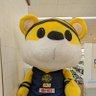 スーちゃん profil fotoğrafı