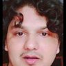 जंगली बिल्ला 😾😾😾's profile picture