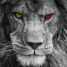 Legend9141🔥's profile picture