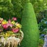 احلام 💐 的头像