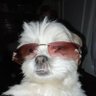 emily profil fotoğrafı