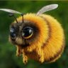 NameLess profil fotoğrafı