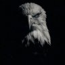 Фото профиля إسْماعيل 🕊️
