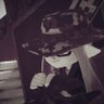 Андромедии profil fotoğrafı