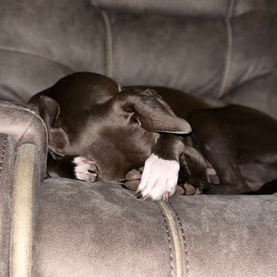 HeatherHalbur's profile picture