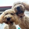 djh profil fotoğrafı