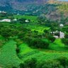 Фото профиля البدر الوصابي