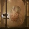 Profilbild von Guild Navigator
