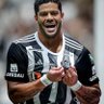 Profilbild von GALO LIMITADO⚽