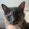 ☭ CommieCatMan ☭ profil fotoğrafı