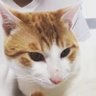 陽だまりの庭で's profile picture