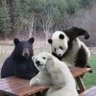 see_see 的头像