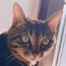 えみたろう profil fotoğrafı