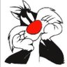 Sylvester's profile picture